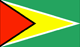 Guyana Consulate in Houston